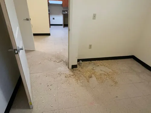 Empty apartment floor with construction debris before a post-renovation clean