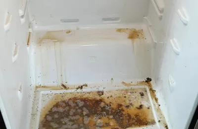Refrigerator interior with heavy grime before an Ire Cleaning Services deep clean