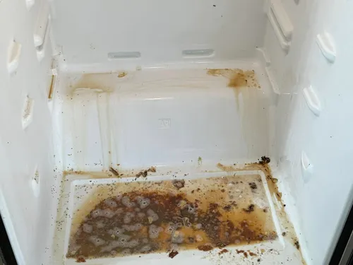 Refrigerator interior with heavy grime before an Ire Cleaning Services deep clean