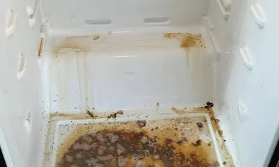 Refrigerator interior with heavy grime before an Ire Cleaning Services deep clean