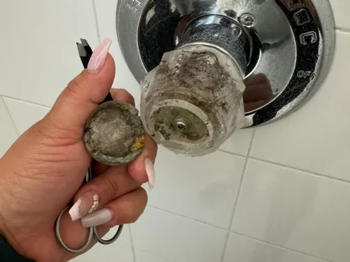 Grime-caked shower handle removed for detail cleaning, before