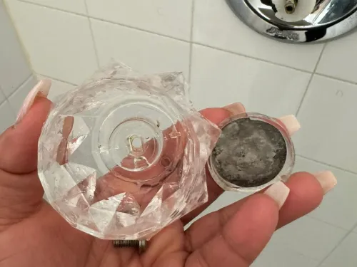 Clean shower handle reassembled after detail cleaning, after